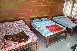 Chiguru Homestay